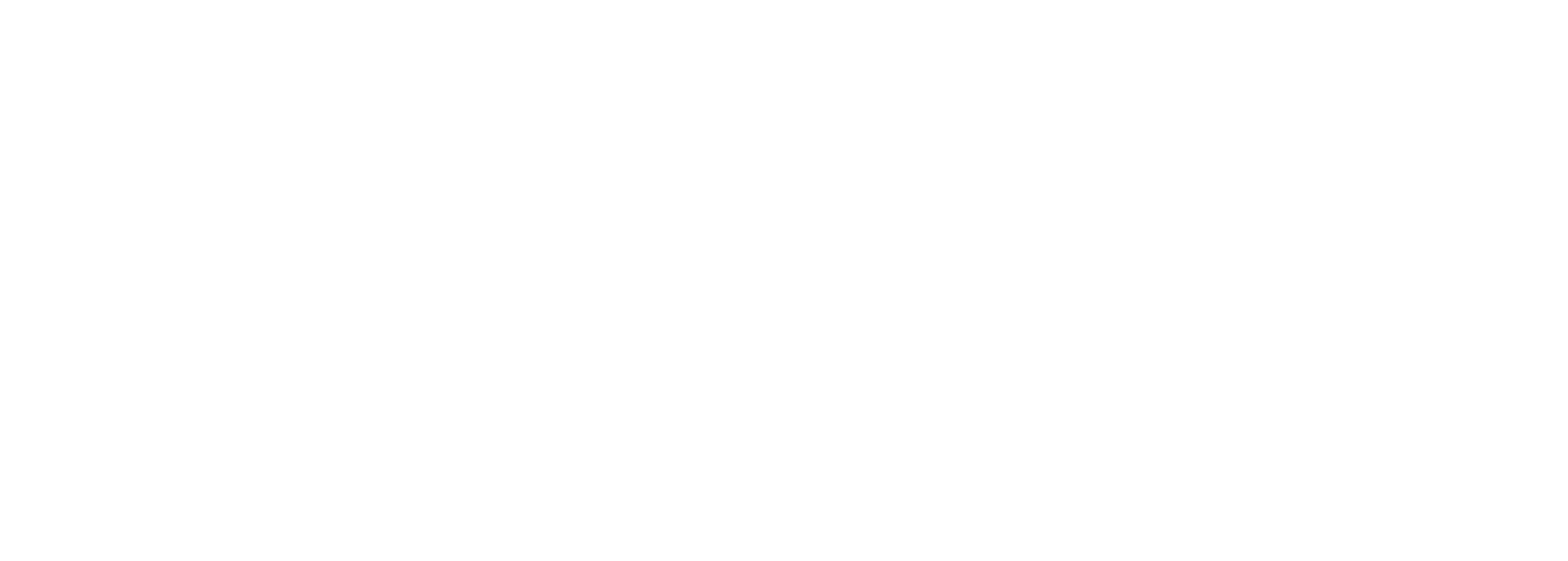 BDC-Wordmark-White