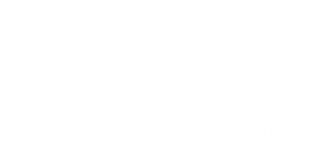 Y digital - logo - 1